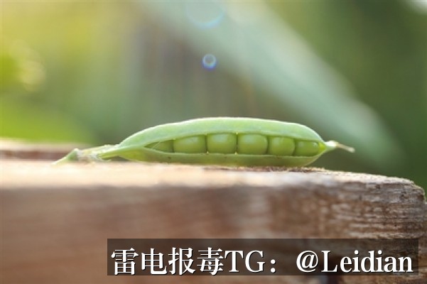 工具APP下载被拦截-从报毒误判到安全整改的完整排查与申诉指南